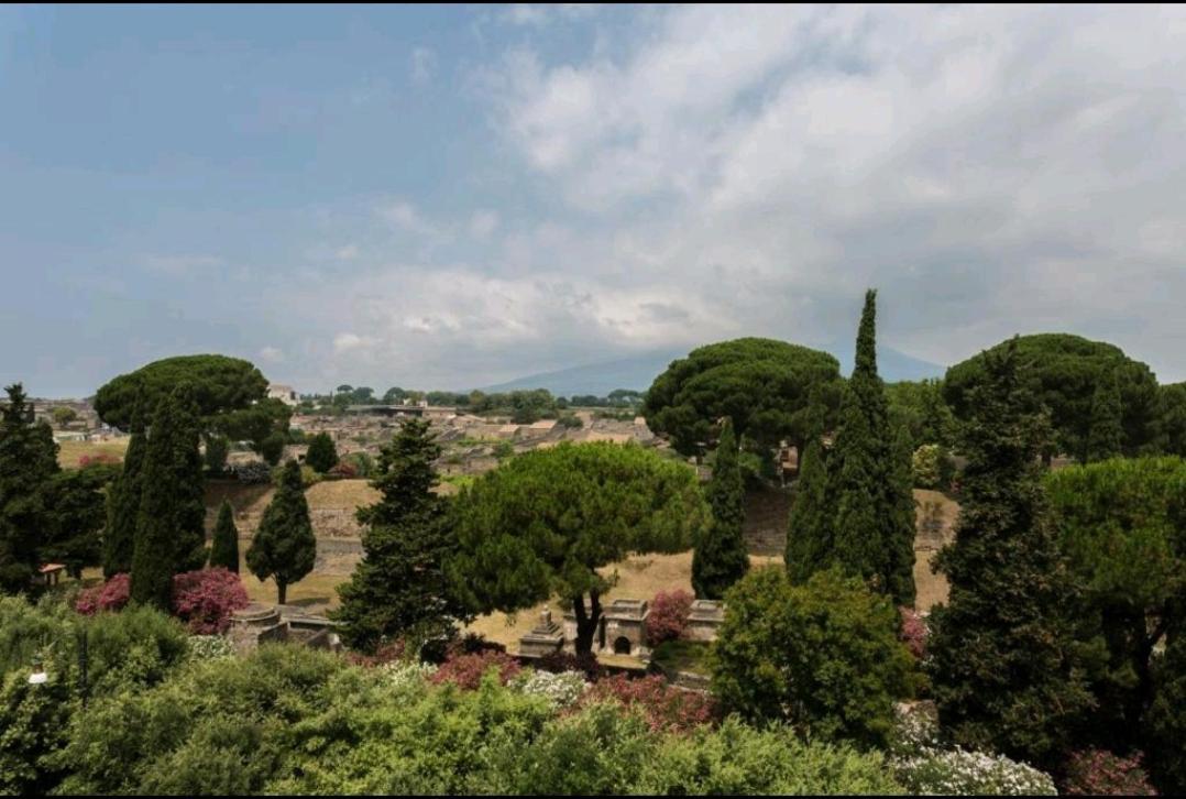 B&B Vesuvio Ruins Pompeji Kültér fotó