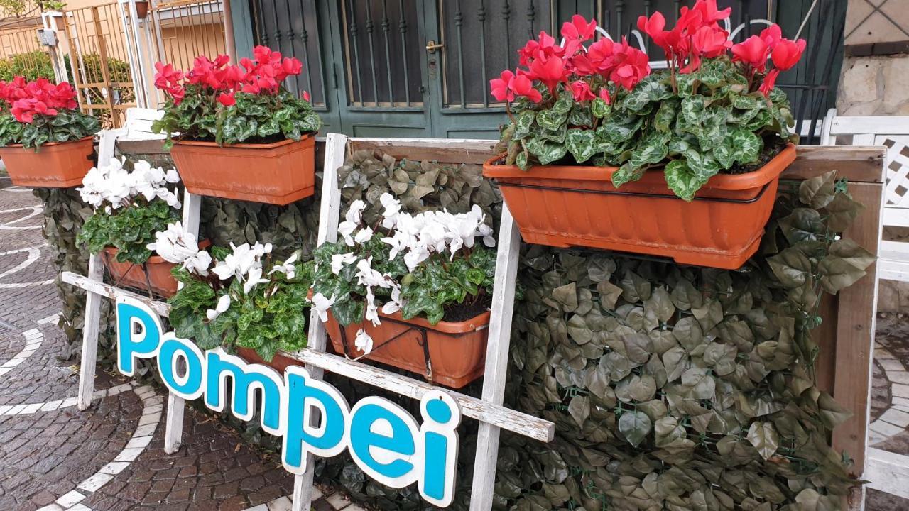 B&B Vesuvio Ruins Pompeji Kültér fotó